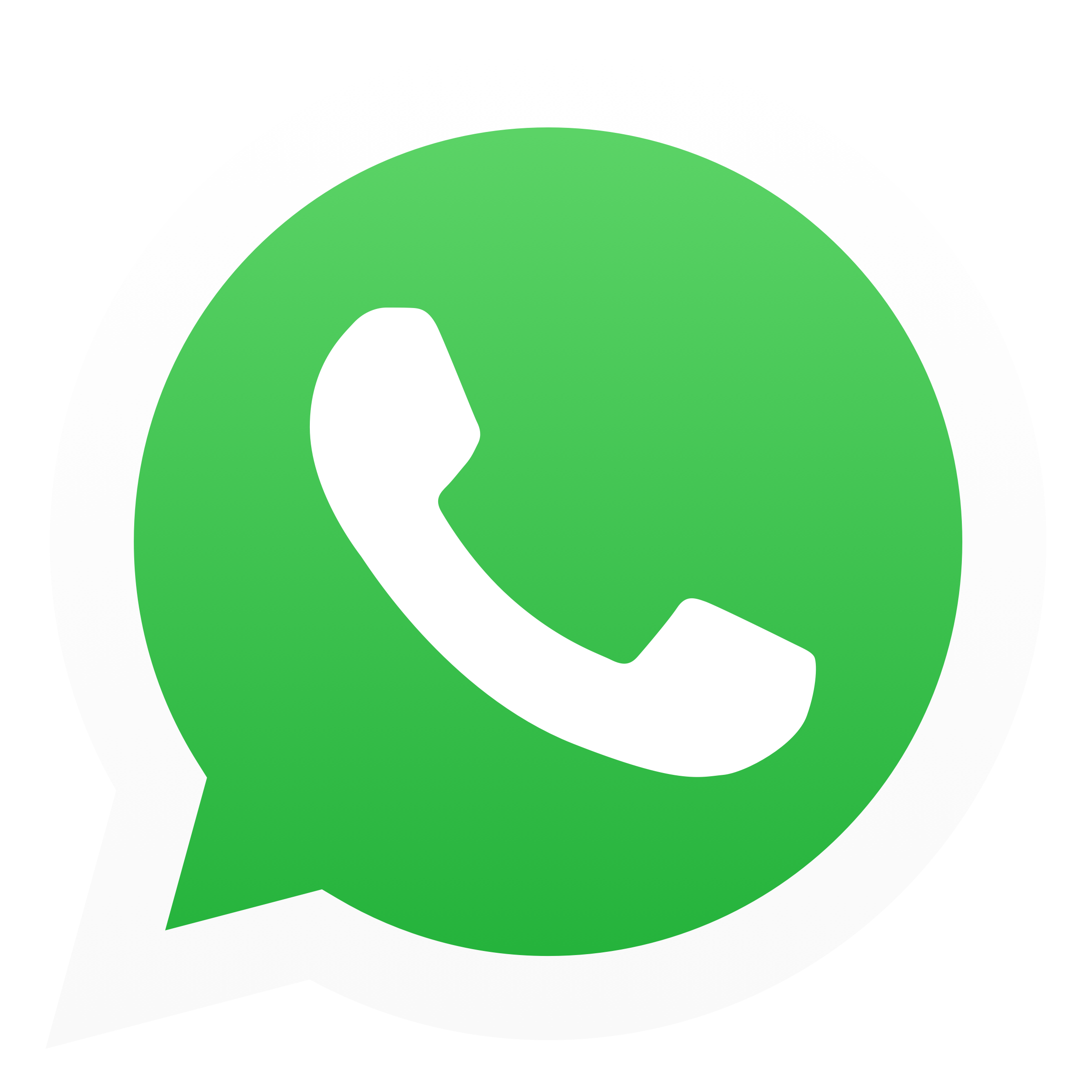 WhatsApp Logo